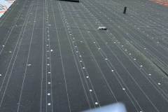 Roofs-4